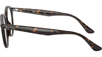 RB2180VF Optics 2012