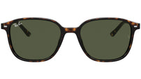 Leonard RB2193 tortoise