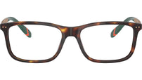 PH2273 6137 Brown Tortoise