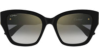 CT0666S 001