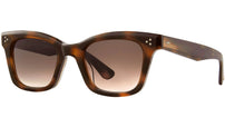 Thompson Sun Spotted Brown Shell