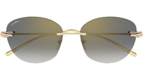 CT0685S 002