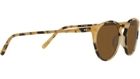O'Malley Sun OV5183S 170153 Tortoise YTB