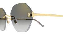 CT0671S 001