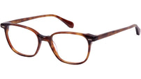 Barney 6600 2 Tortoise