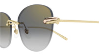 CT0685S 002