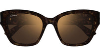 CT0666S 002