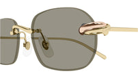 CT0686S 003