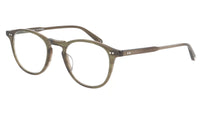 Hampton Olive Tortoise