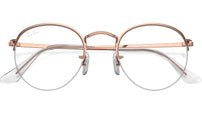 Round Gaze Optics RB3947V 3094
