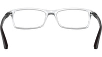 RB7017 Optics 5943