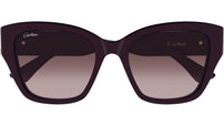 CT0666S 003