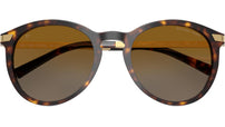 Adrianna III MK2023 3106T5 Dark Tortoise