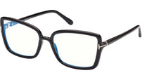 FT5813-B 001