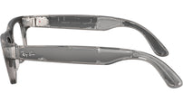 Meta Blayzer Optics Gen2