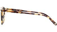 Clune Sun Dark Tortoise