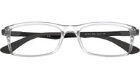 RB7017 Optics 5943