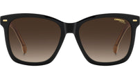 3113/S KDX HA