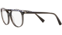 3069 011 tortoise