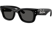 Wayfarer Puffer RB4940B 686487