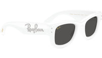 Wayfarer Puffer RB4940B 686387