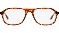 Paul Bekko Tortoise