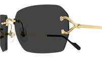CT0664S 001