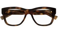 SL 677 003 Shiny Tortoise