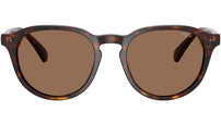 PH4221 613773 Brown Tortoise