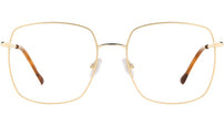 IM 0029 06J
