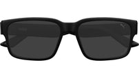 PU0542S 001