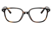 RY9093V 3685 Tortoise
