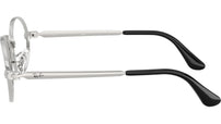 RB3931V Optics 2501