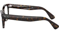 Laramie Optics RB2201V 2012