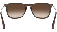 Chris RB4187 tortoise