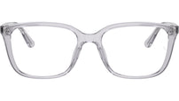 RB7248D Optics 8411