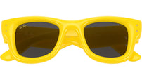 Wayfarer Puffer RB4940 683087