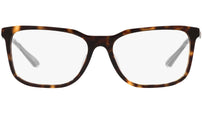 PR 05ZV tortoise