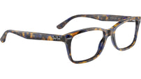 RB5428 Optics 8174