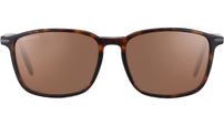 Lenwood 8933 Brown
