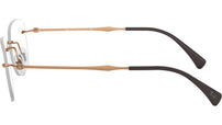 RB8748 Optics 1131