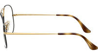 Aviator Optics RB6489 3177