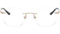 RB8783D Optics 1248