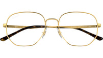 RB3682V Optics 2500