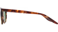 Banks Havana Round Sunglasses
