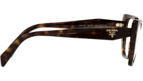 PR 18WV tortoise