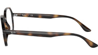 RB4361V Optics 2012
