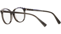 3069 011 tortoise