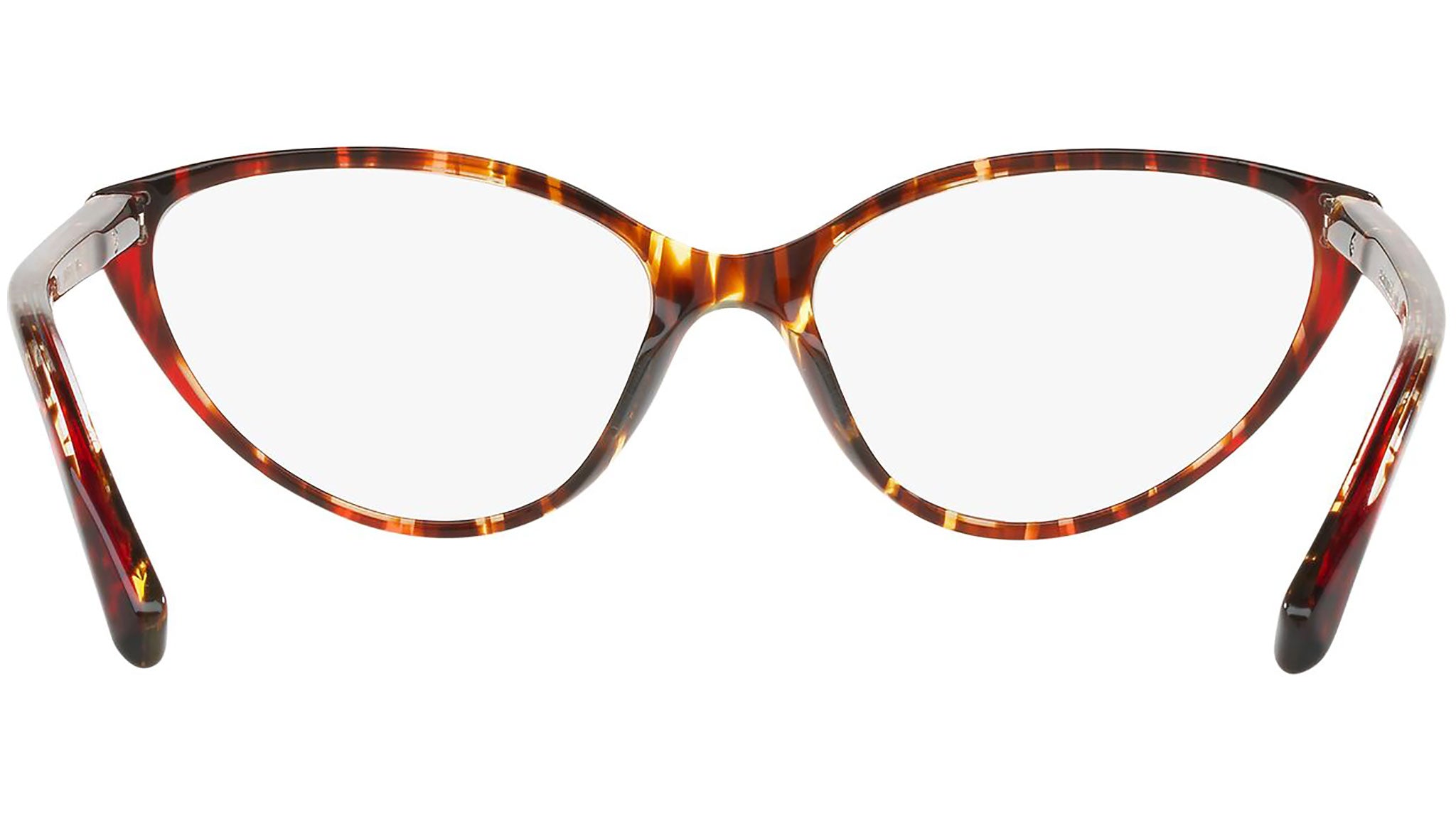 3081 004 tortoise