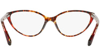 3081 004 tortoise